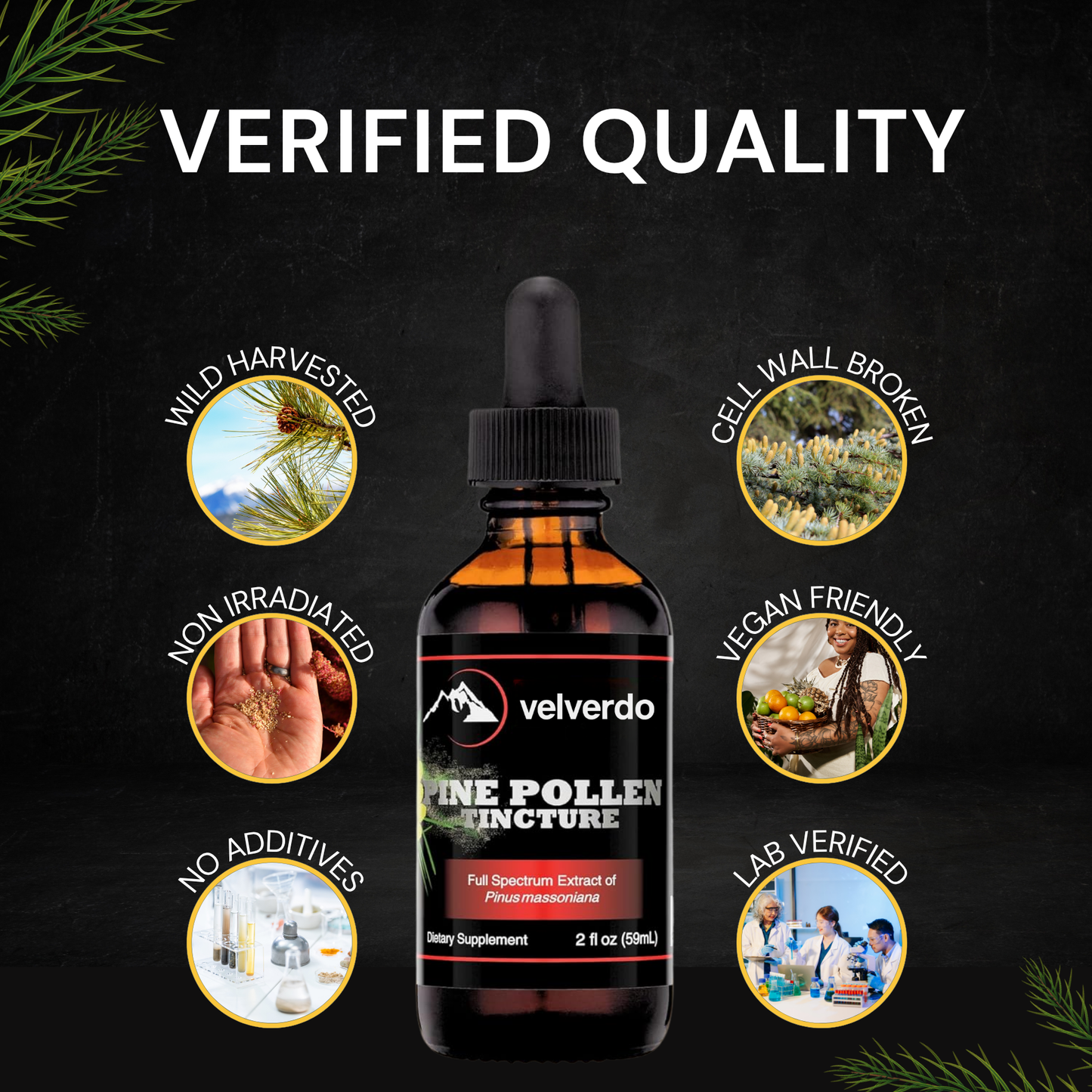 Pine Pollen Extract