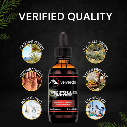 Pine Pollen Extract